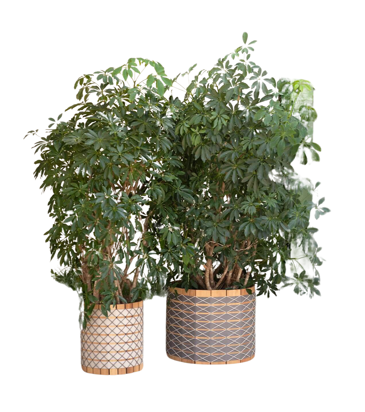 Product Image BARRIQUE Planter