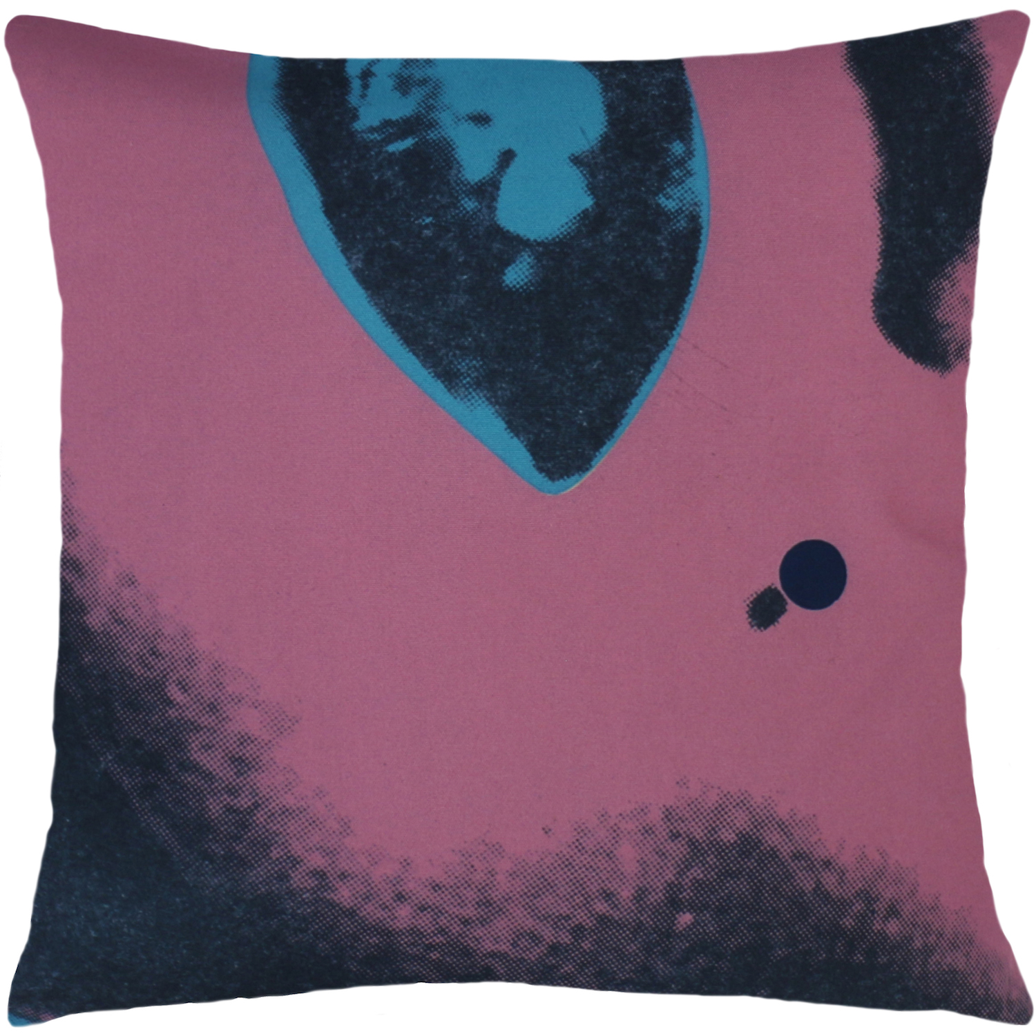 Product Image _Andy Warhol | Art Pillow AW05