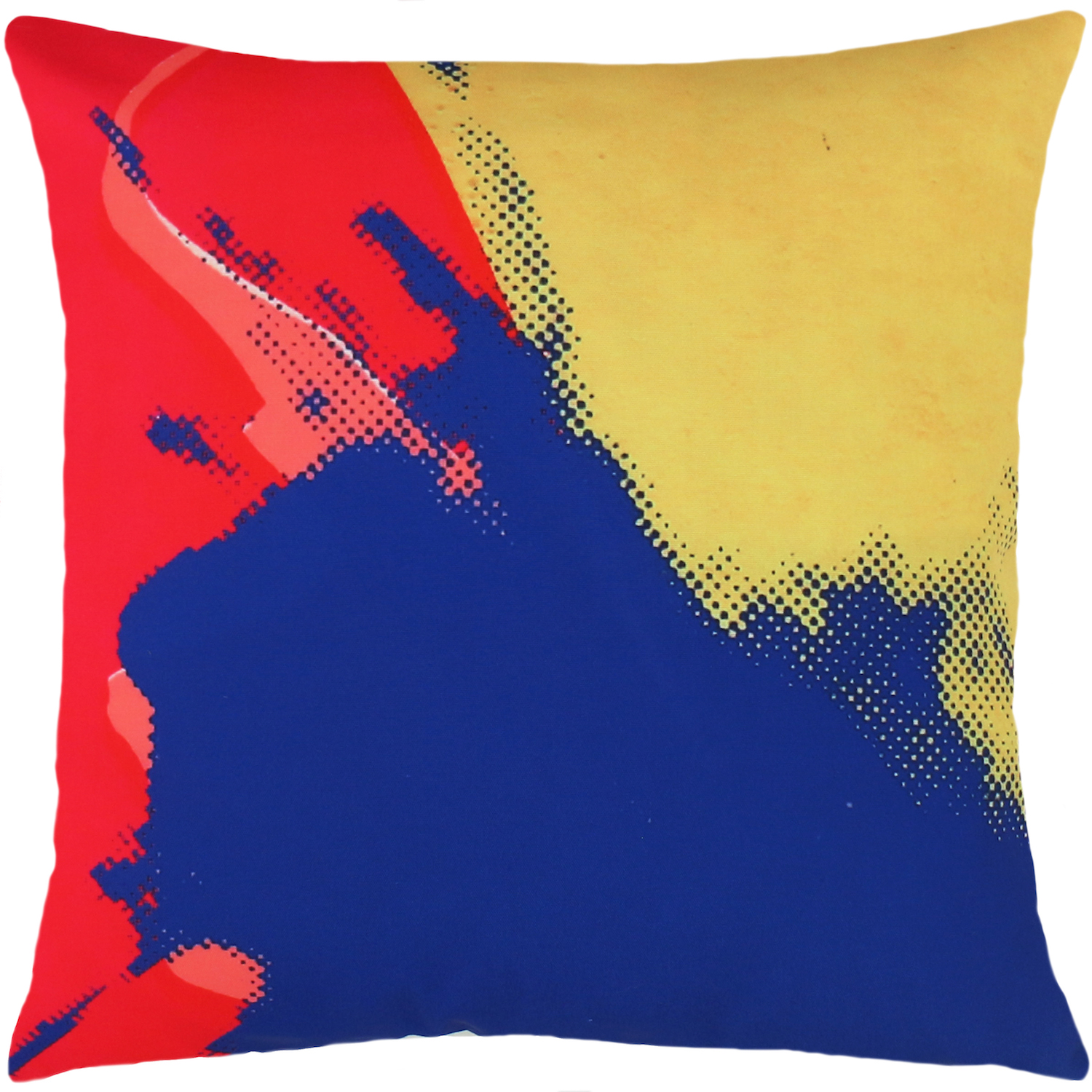 Product Image _Andy Warhol | Art Pillow AW06