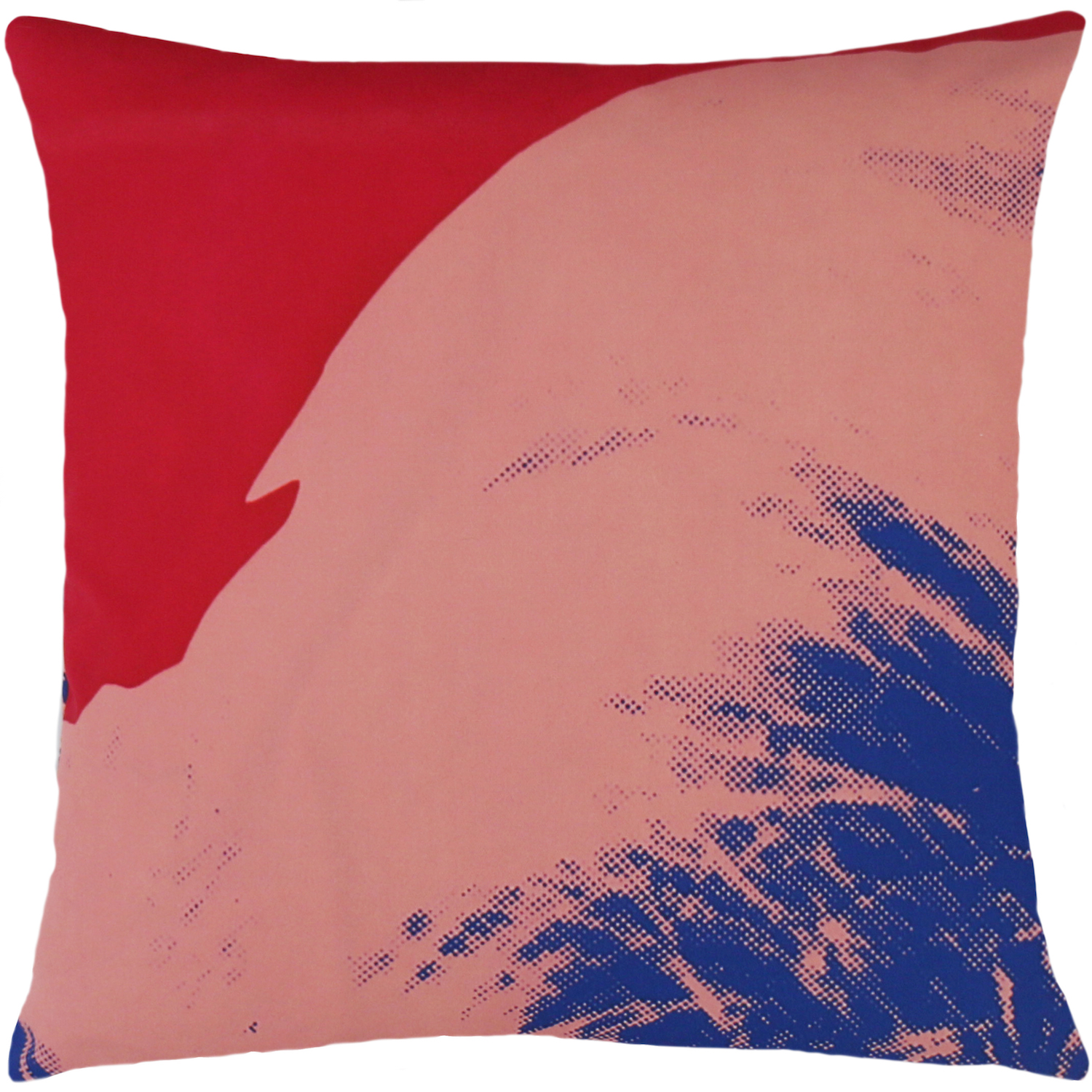 Product Image _Andy Warhol | Art Pillow AW07