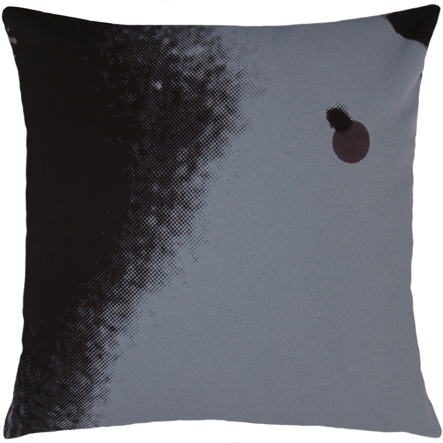 Product Image _Andy Warhol | Art Pillow AW08