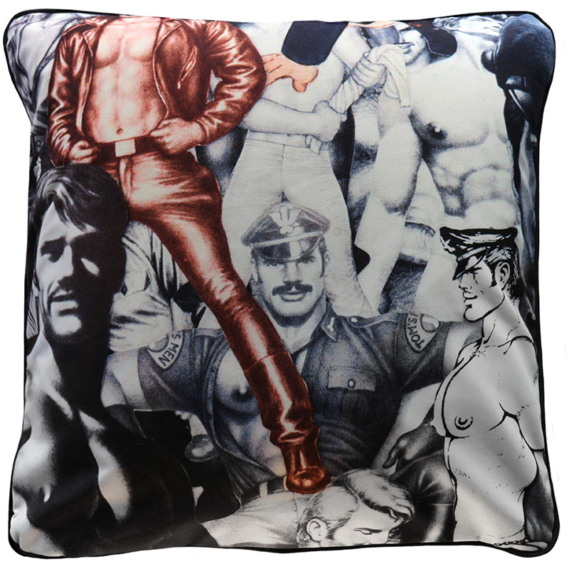Product Image _TOM OF FINLAND | FINE ART PILLOW Art 40